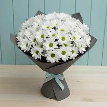 Букет цветов из:  Хризантемы #REPLACE_PRED# Черкизово