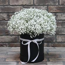 Цветочная композиция из Гипсофила в шляпной коробке в Черкизово